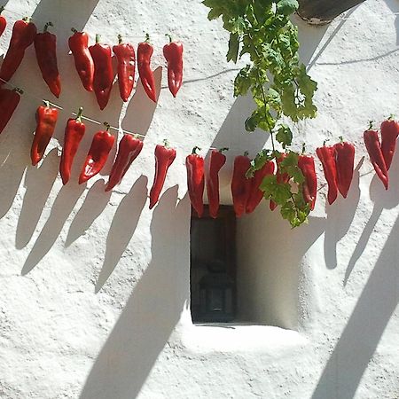 Hotel Rural Cortijo La Alberca Níjar Esterno foto