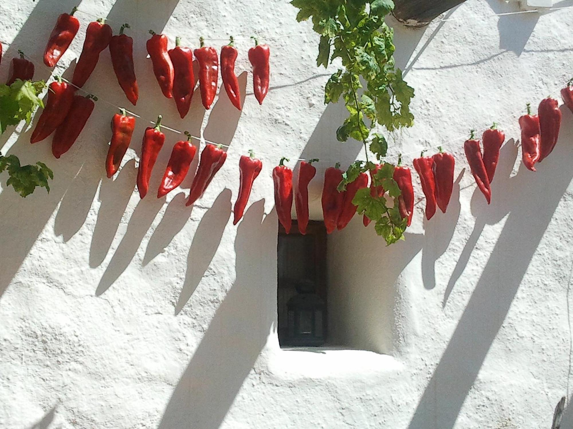 Hotel Rural Cortijo La Alberca Níjar Esterno foto