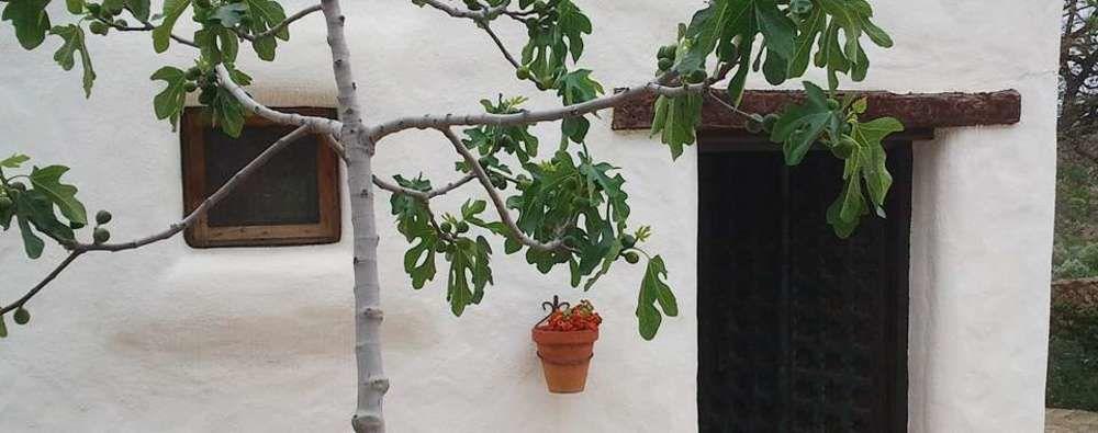 Hotel Rural Cortijo La Alberca Níjar Esterno foto