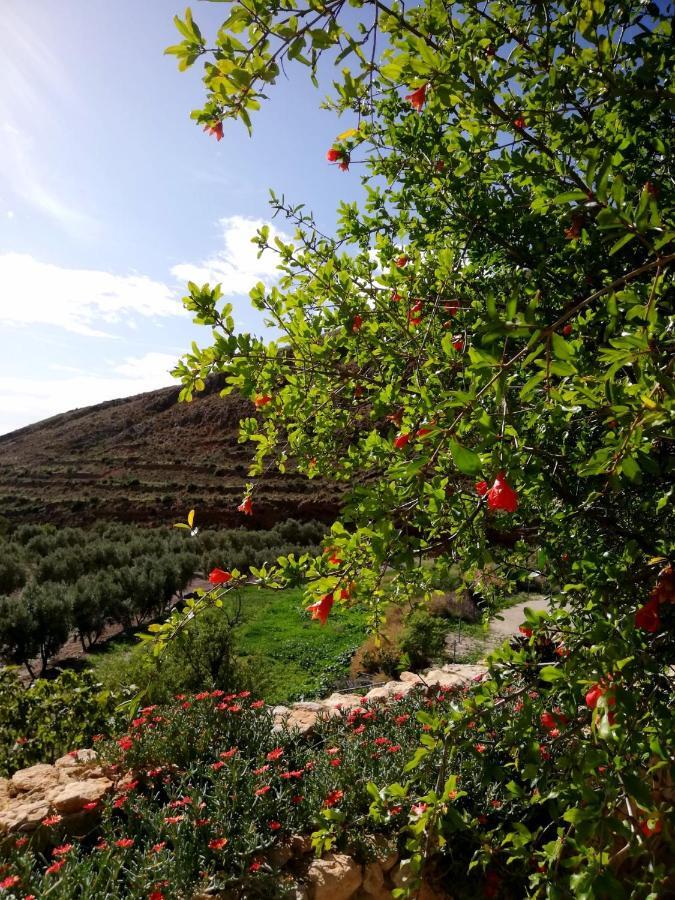 Hotel Rural Cortijo La Alberca Níjar Esterno foto